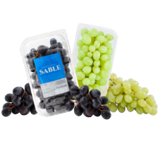 Pitloze Sable of witte druiven